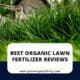 Best Organic Lawn Fertilizer