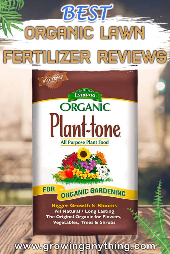 Best Organic Lawn Fertilizer