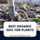 Best Organic Soil For Plants