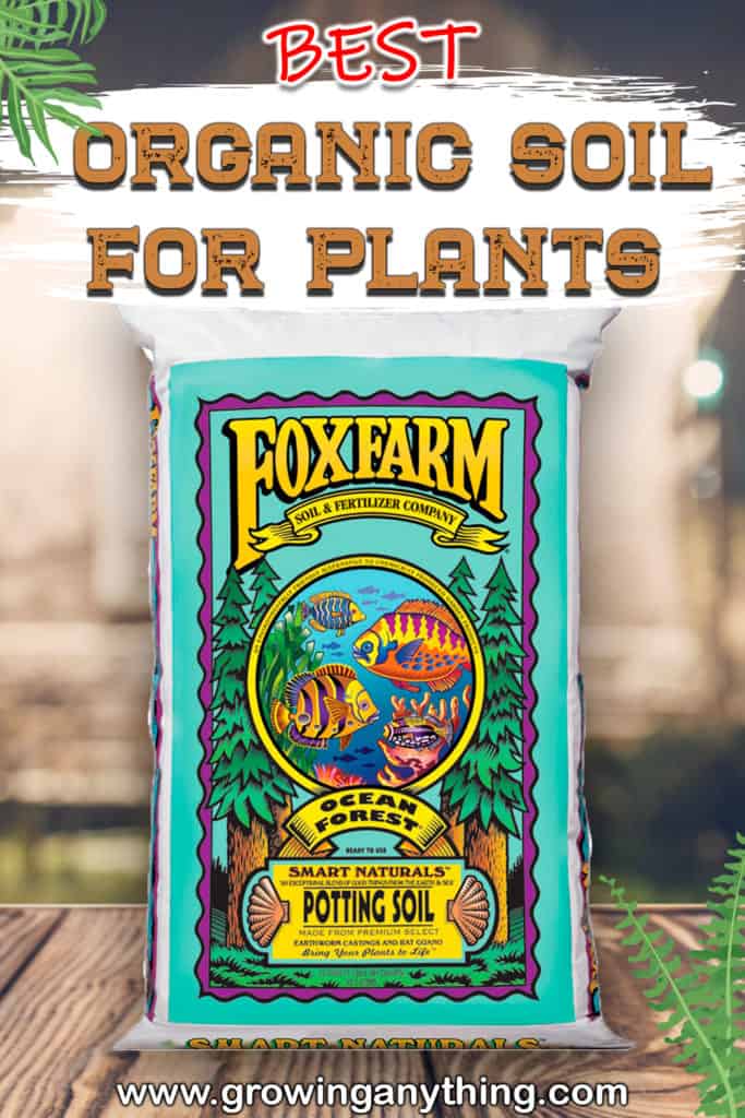 Best Organic Soil For Plants