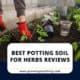 Best Potting Soil For Herbs