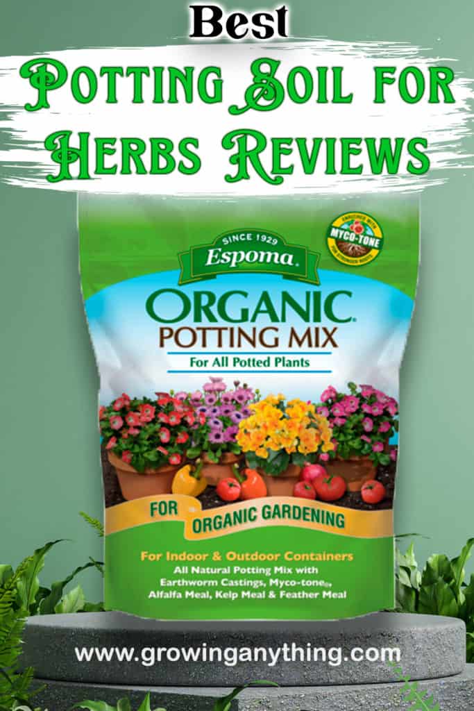 Best Potting Soil For Herbs