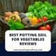 Best Potting Soil For Vegetables