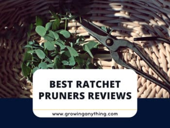 Best Ratchet Pruners