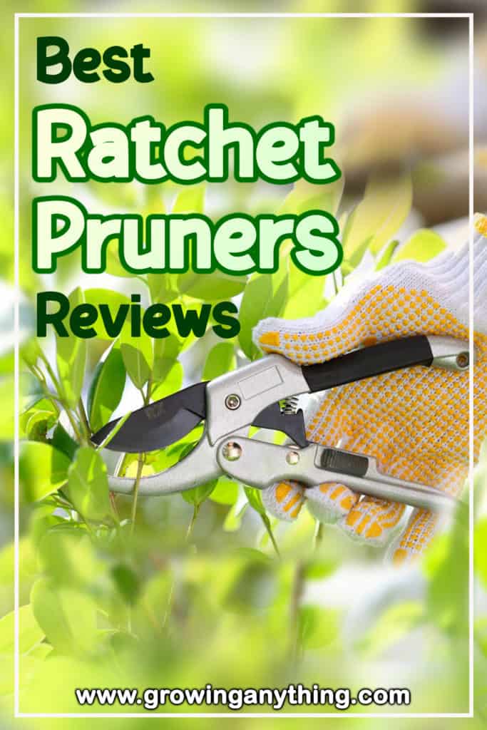 Best Ratchet Pruners