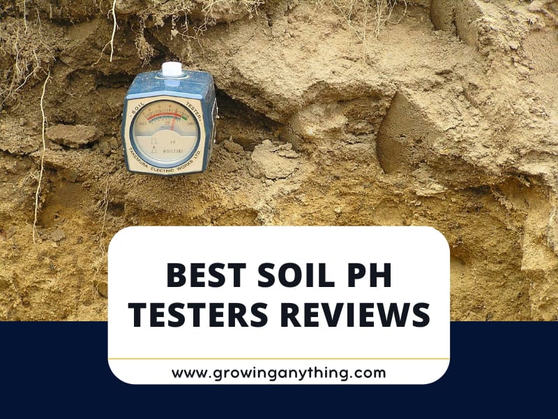 Top 15 Best Soil pH Testers Reviews 2024