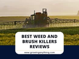 Best Weed And Brush Killers
