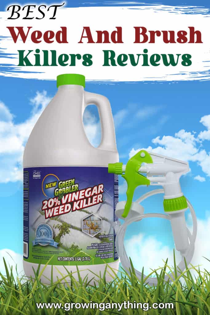 Best Weed And Brush Killers