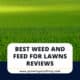 Best Weed And Feed For Lawns