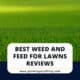 Best Weed And Feed For Lawns