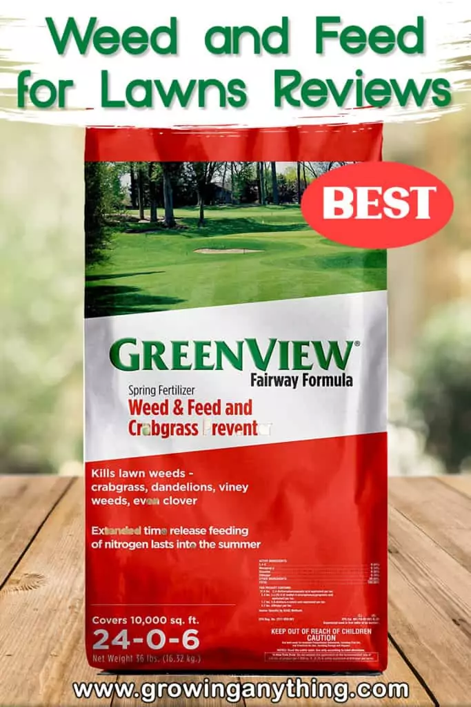 Best Weed And Feed For Lawns