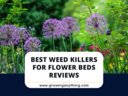 Best Weed Killers For Flower Beds