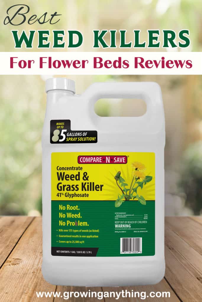 Best Weed Killers For Flower Beds