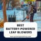 Best Battery Powered Leaf Blowers