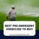 Best Pre Emergent Herbicide