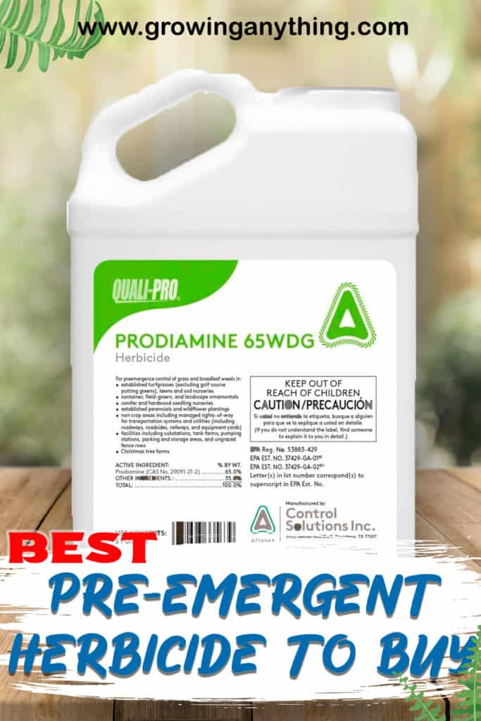 Best Pre Emergent Herbicide