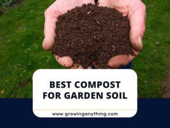 Compost For Garden Soil