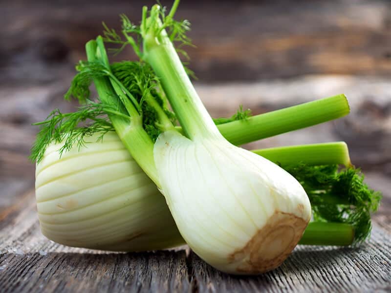 Fennel Plants