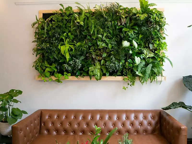 Floating Plants on Wall