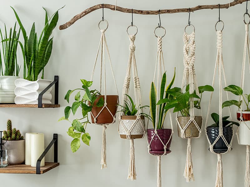 Handmade Plant Hangers