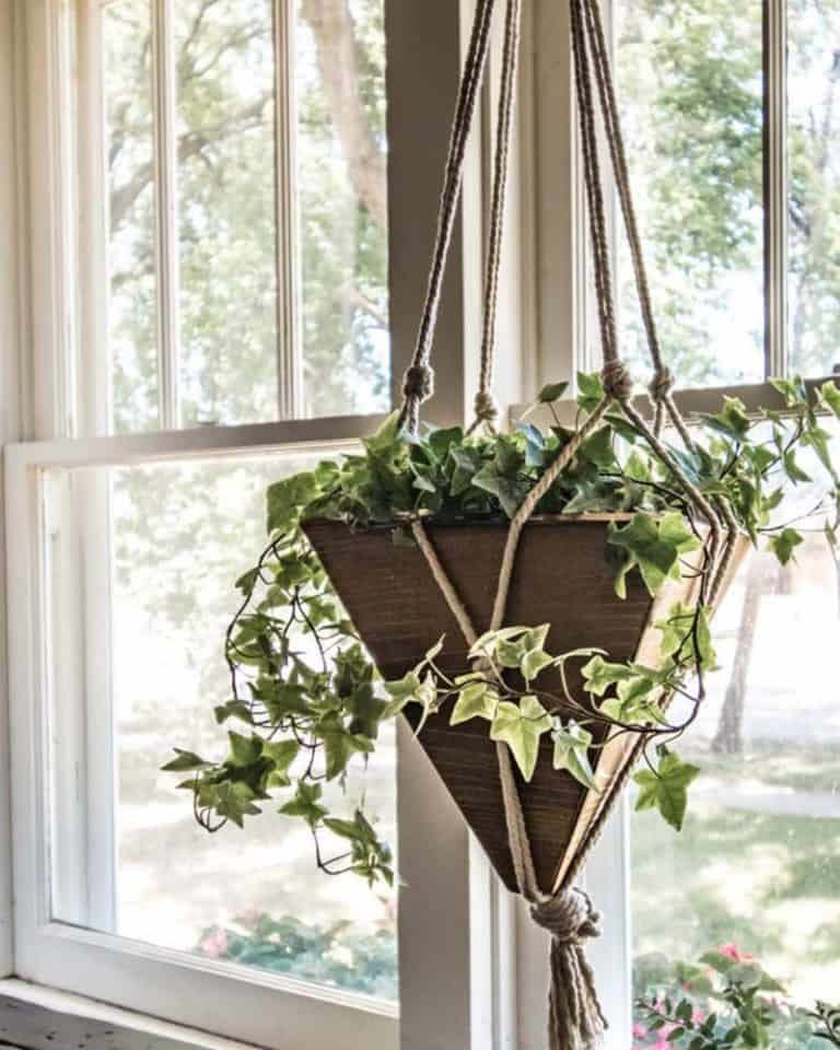 52 Creative Ways To Hang Your Plants In A Beautiful Way 2024