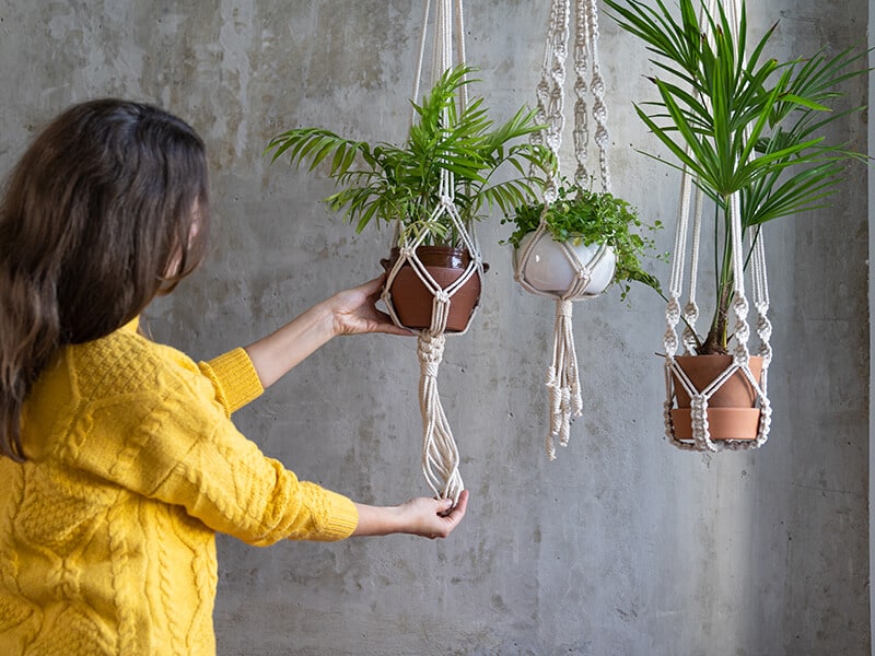 Woman with Plant Hanger