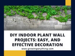 Diy Indoor Plant Wall Projects