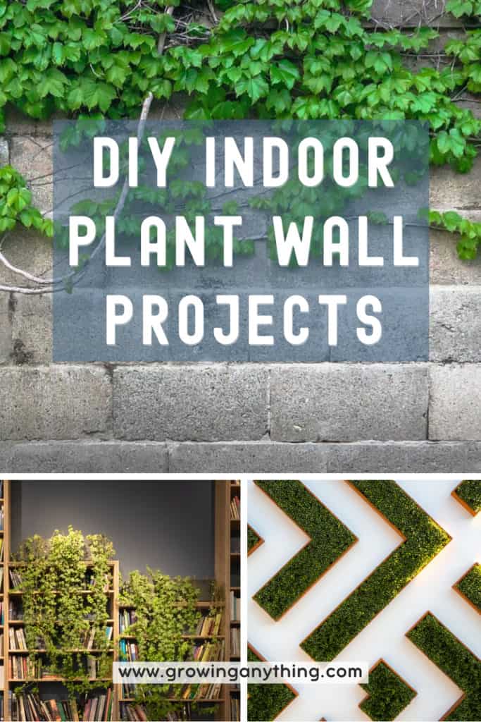 Diy Indoor Plant Wall Projects