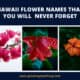 Hawaii Flower Names