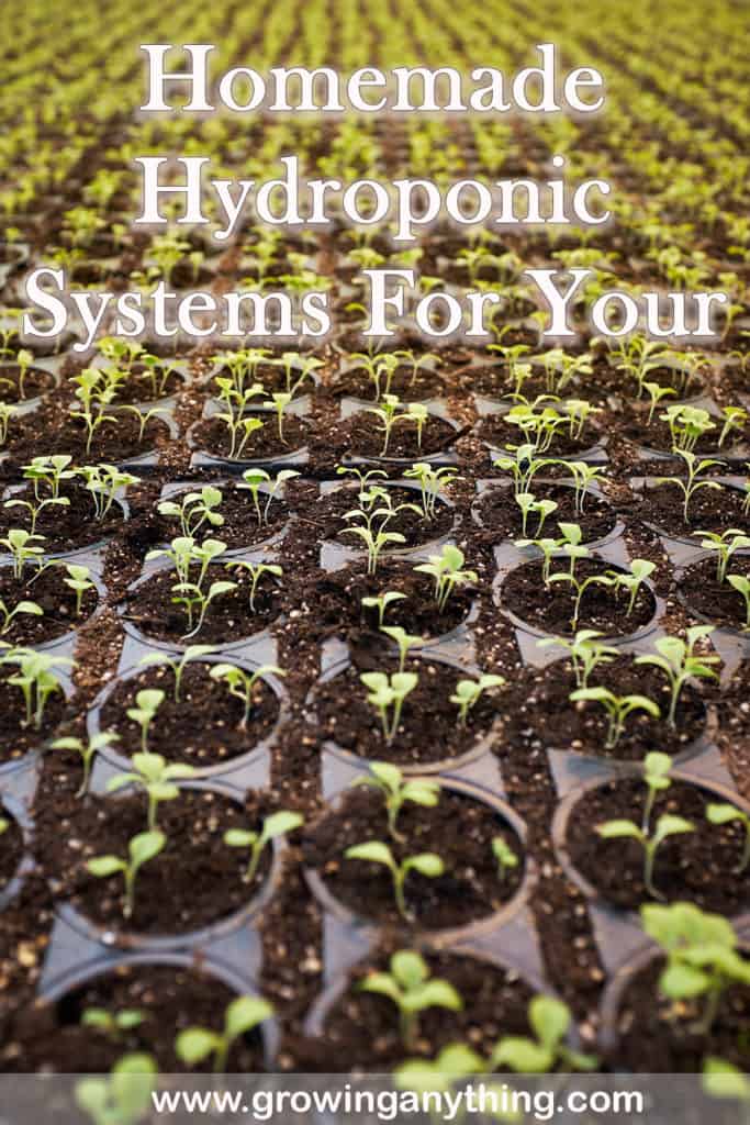 Homemade Hydroponic Systems