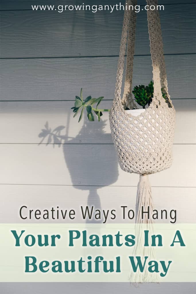 Plant Hanging Ideas