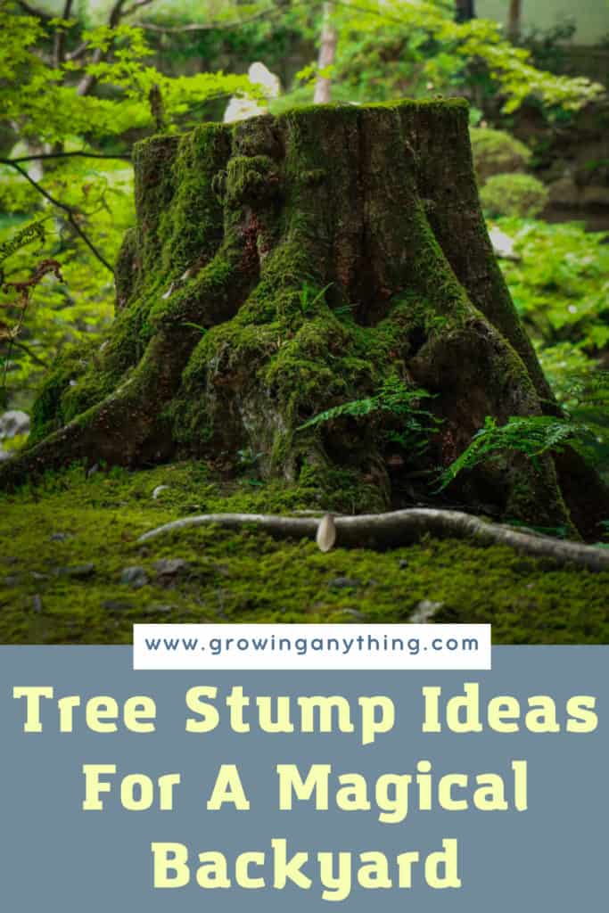 Tree Stump Ideas