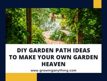 Diy Garden Path Ideas