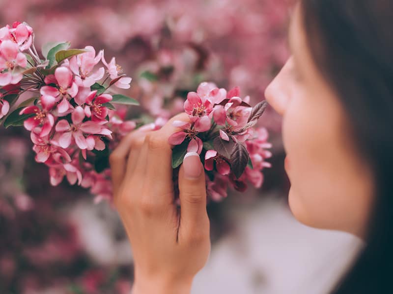 Girl Holds Branch Blossoming Spring Flowers