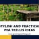 Pea Trellis Ideas