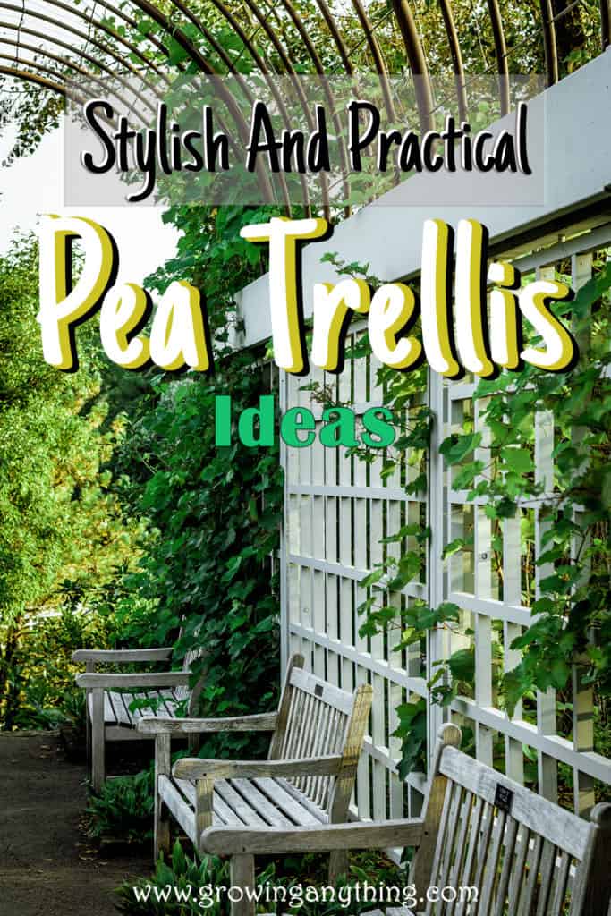 Pea Trellis Ideas