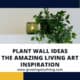 Plant Wall Ideas