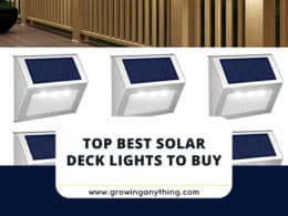 Best Solar Deck Lights