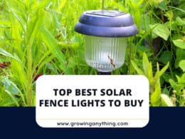 Best Solar Fence Lights