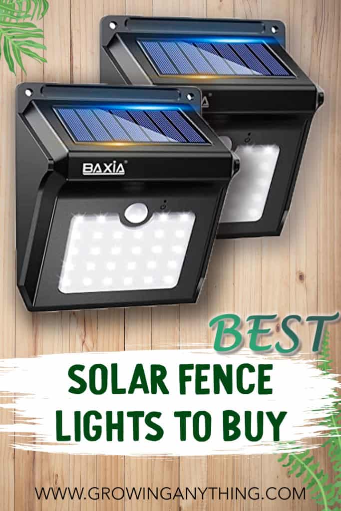 Best Solar Fence Lights