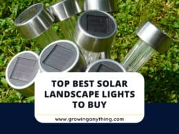 Best Solar Landscape Lights