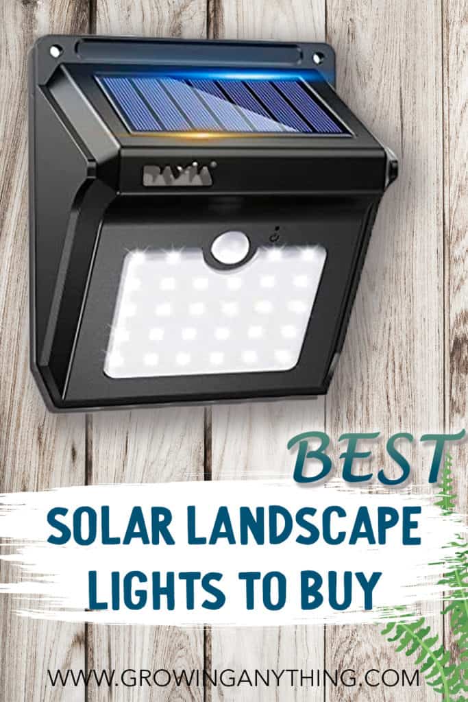 Best Solar Landscape Lights