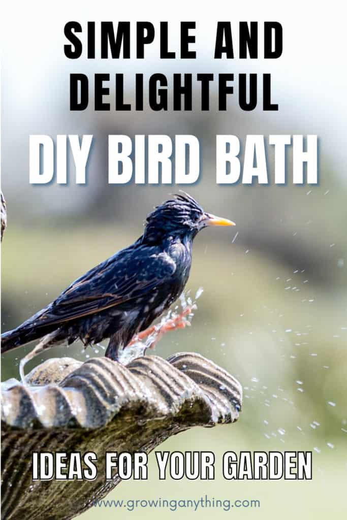 Diy Bird Bath Ideas