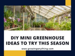 Diy Mini Greenhouse Ideas