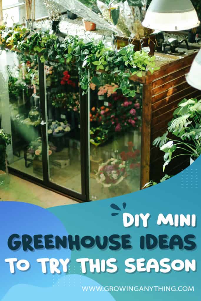 Diy Mini Greenhouse Ideas