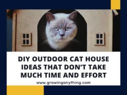 Diy Outdoor Cat House Ideas