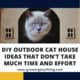 Diy Outdoor Cat House Ideas
