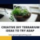 Diy Terrarium Ideas