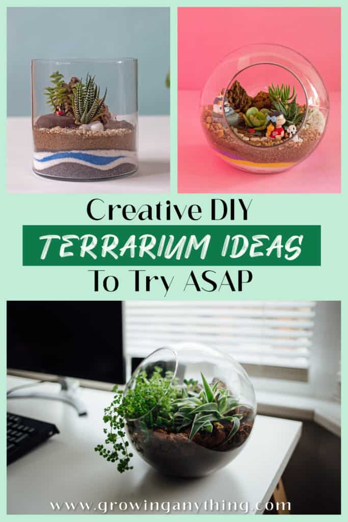 Diy Terrarium Ideas