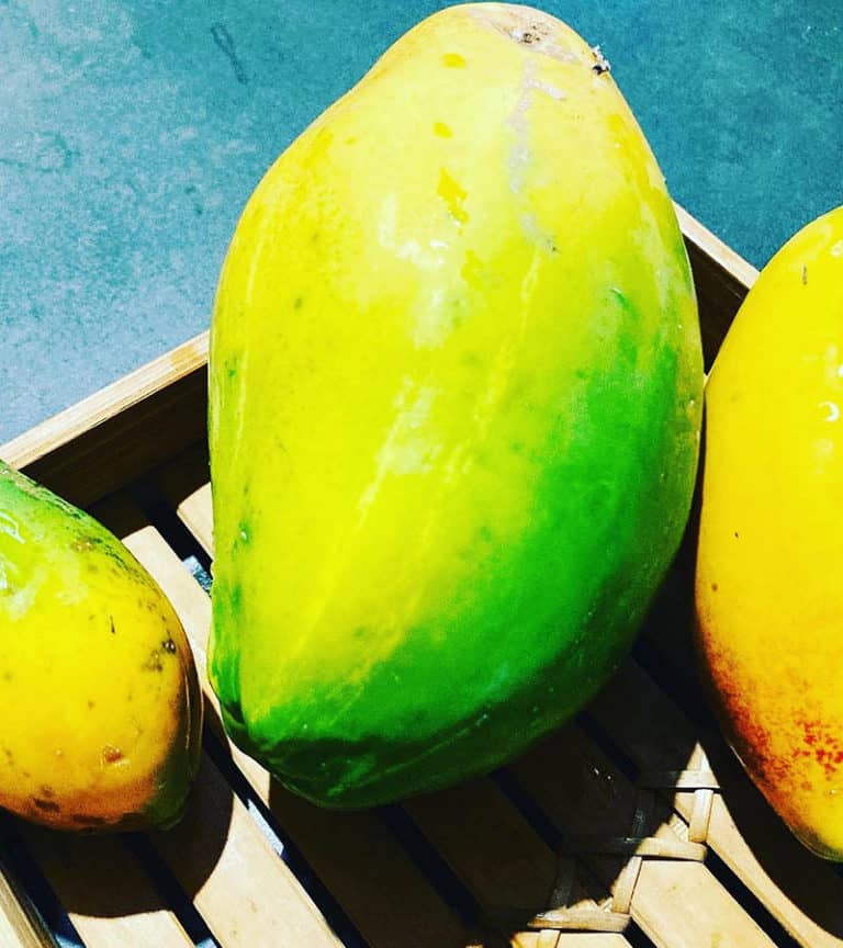 15 Difference Types of Papaya With Most Delicious Taste 2024